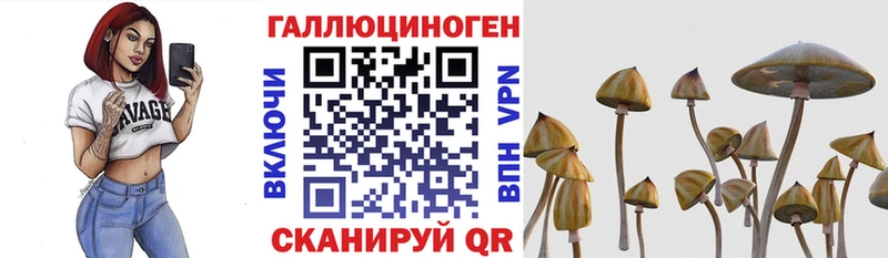 Купить  Никольск  Галлюциногенные грибы ЛСД 